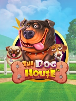 The Dog House